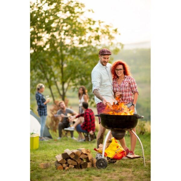 Bois spécial pour le barbecue