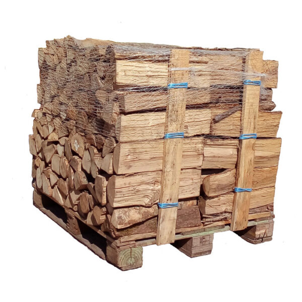 Troncs de verne ou d'aulne 50 cm – Image 4