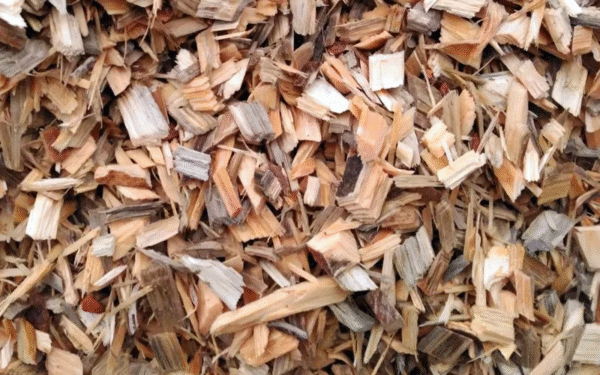 Copeau de bois plaquettes forestières