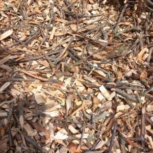 Broyat forestier